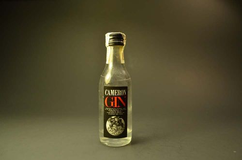 Cameron Gin 29