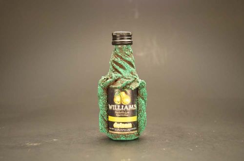 Williams Dolzan 2014