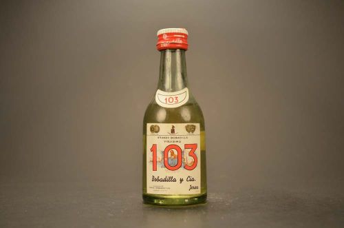 103 Brandy Bobadilla Viejisimo 659