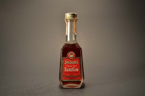 Jacquin'S- Sloe Gin 273